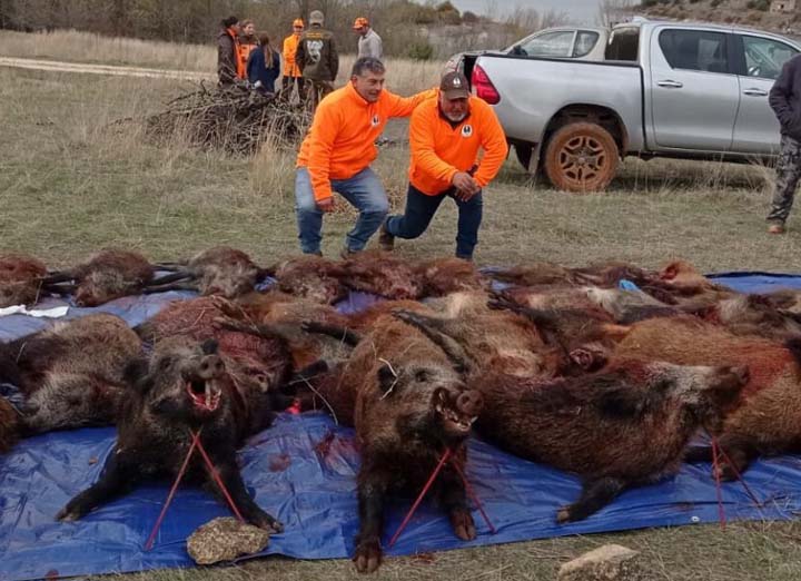 Resultado Montería El atance 1 2025 Herranz S C